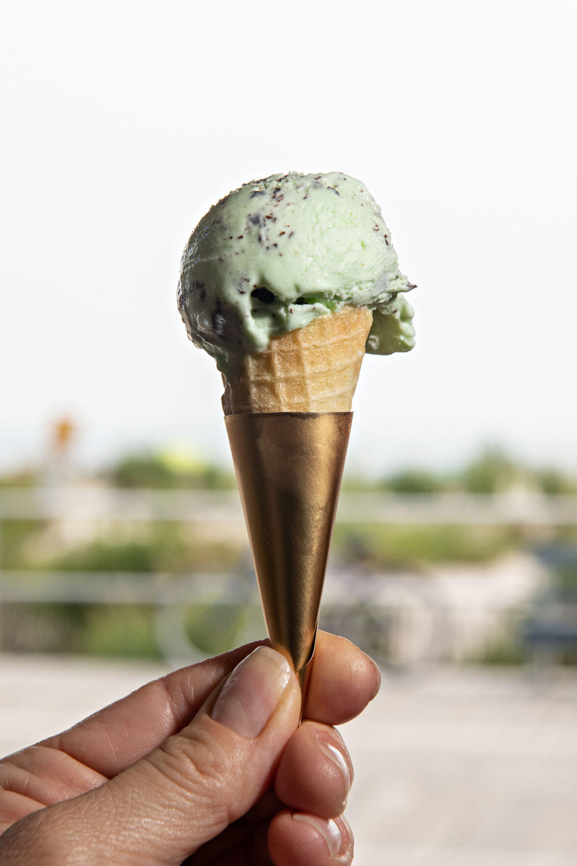 oc Gelato - Small Cone - Ocean City